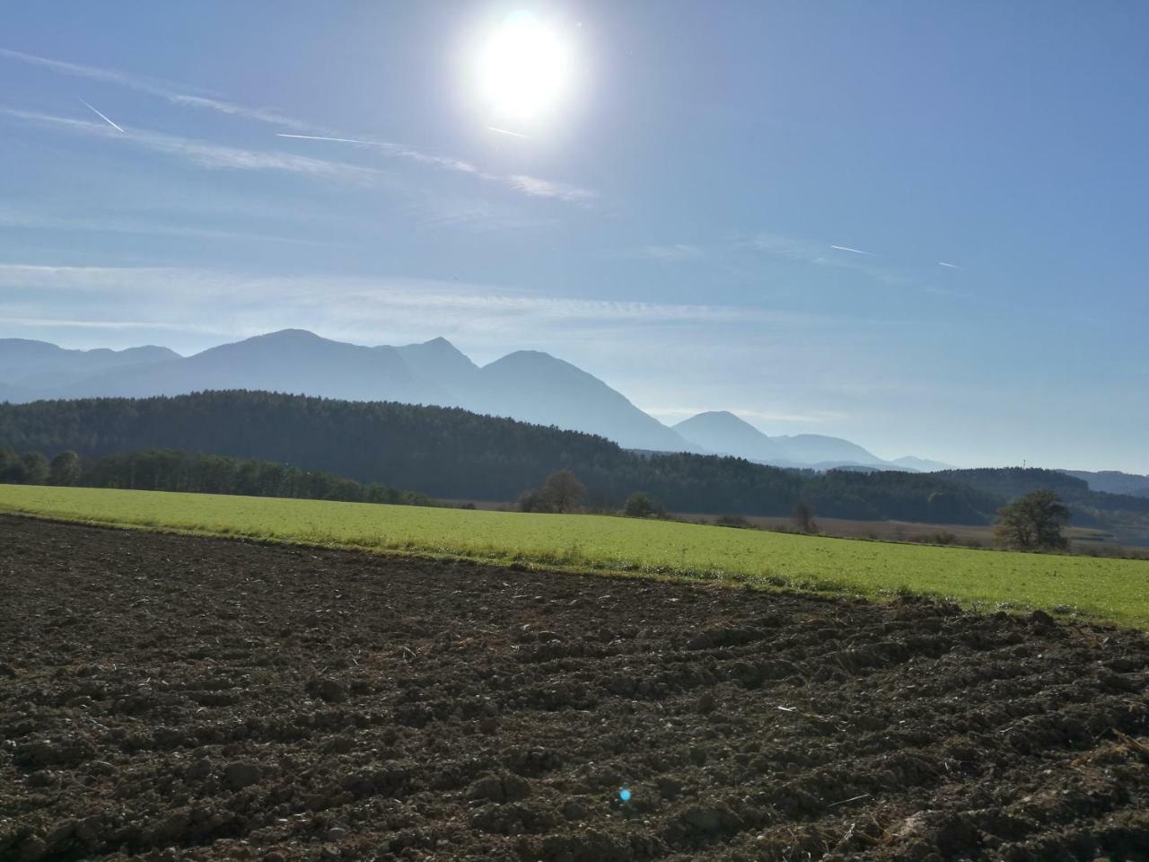 Landgasthof Piroutz Sankt Kanzian am Klopeiner See Exterior foto